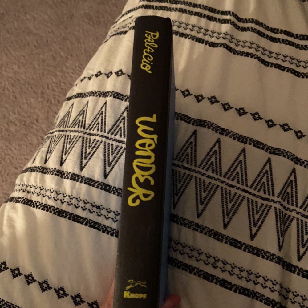 Wonder - Picture 2 of 2